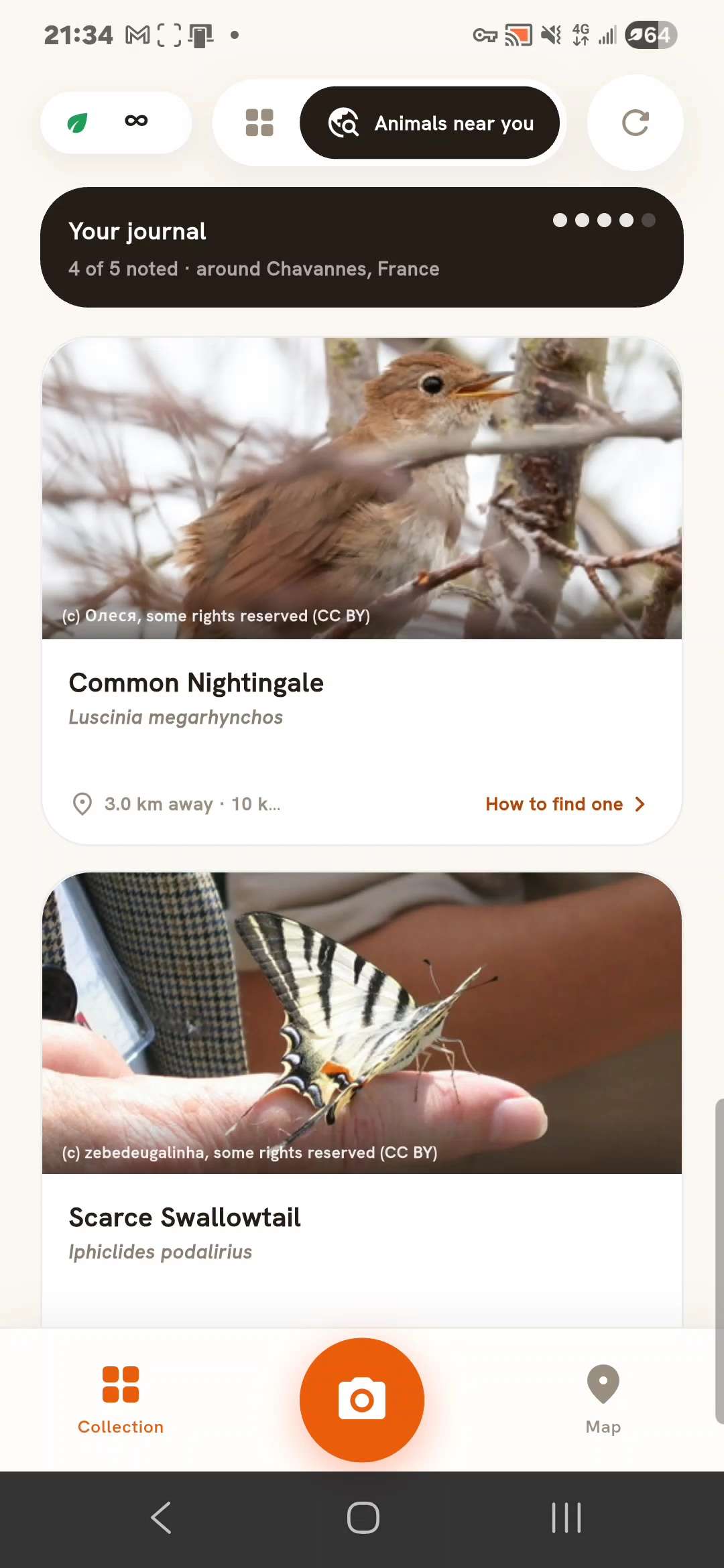 Kaught showing animals near you