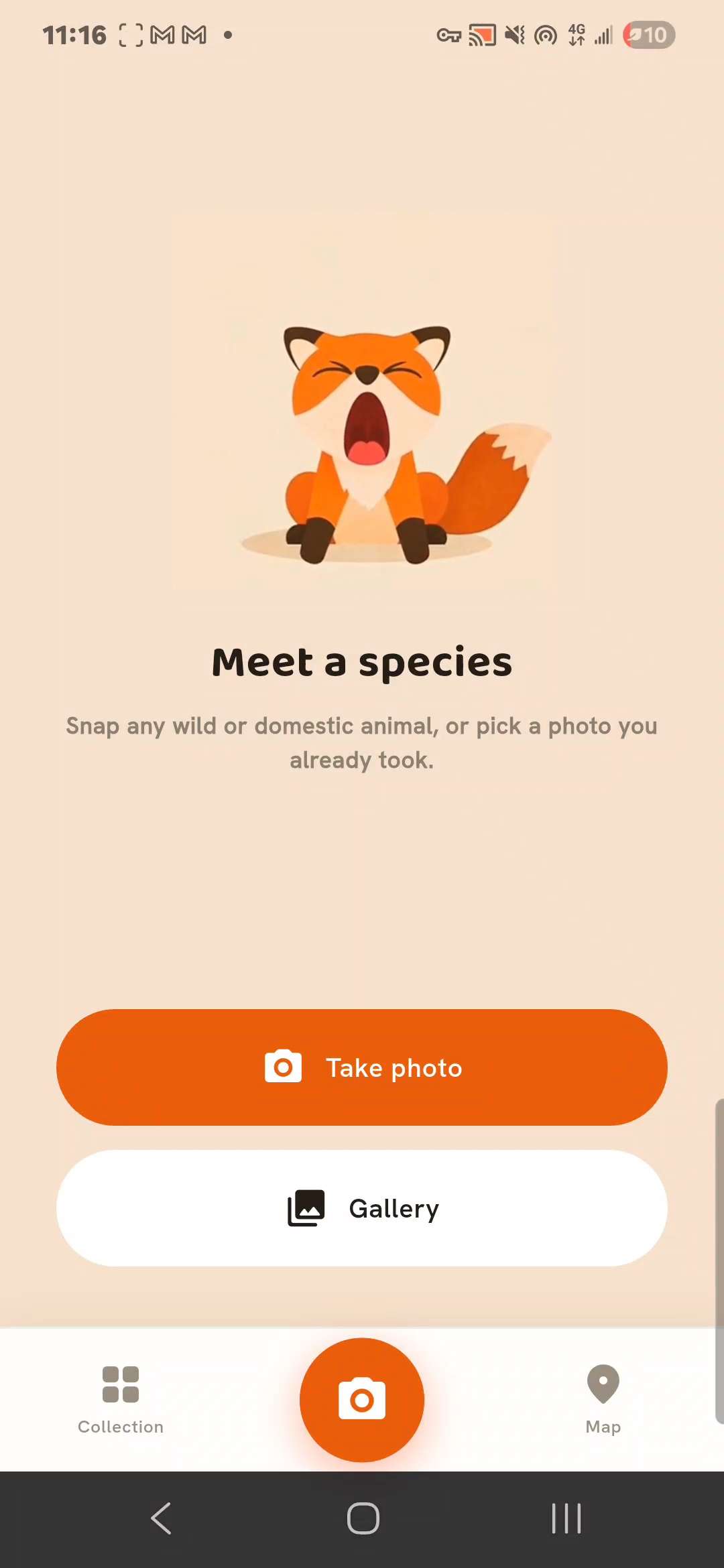 Kaught ready to snap or pick a photo of an animal